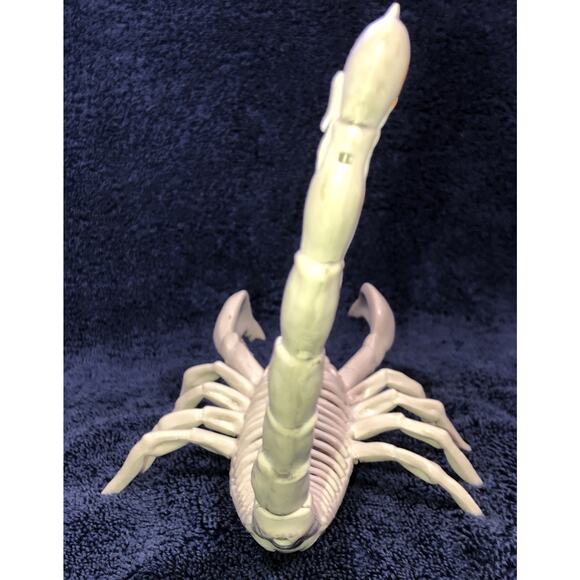 Halloween Skeleton Scorpion Scary Bones 7x6 - Picture 4 of 10